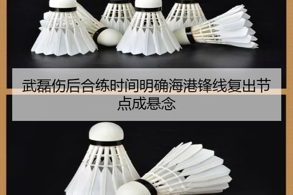 武磊伤后合练时间明确海港锋线复出节点成悬念
